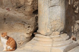 20090131_tunisiatrip_18_sousse_cat1
